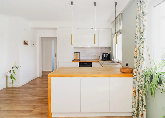 Archirent Aviator グダニスク